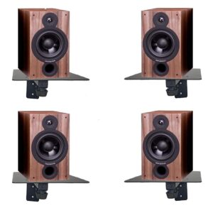 Audiovan Speaker Wall Mount