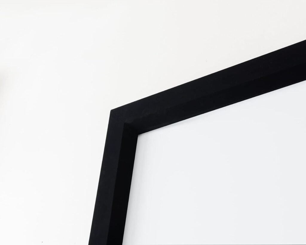 Audiovan 100-Inch Z Series Premium Fixed Frame Screens (Model No. AVT ...